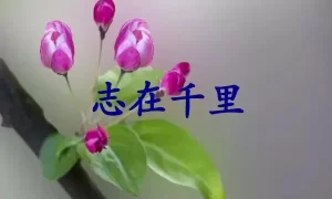 志在千里