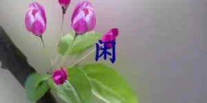 闲