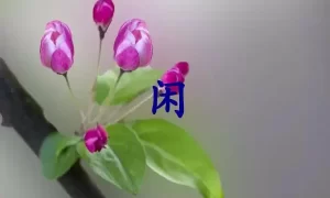 闲