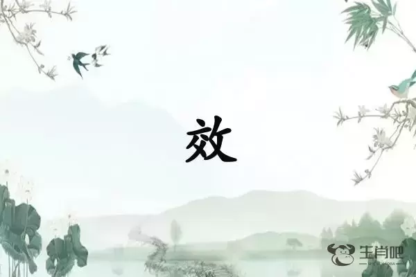 效字打一生肖（效字是什么生肖）插图