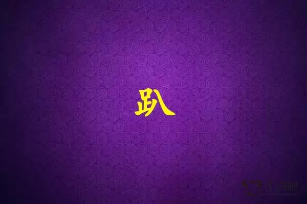 趴字打一生肖（趴字是什么生肖）插图