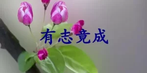 有志竟成