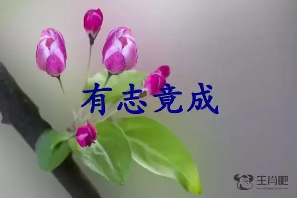 有志竟成是什么生肖插图