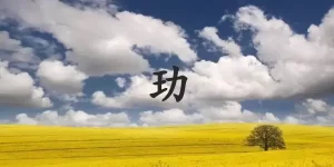 玏