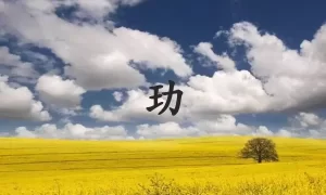 玏