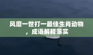 风靡一世打一最佳生肖动物，成语解释落实