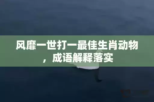 风靡一世打一最佳生肖动物，成语解释落实