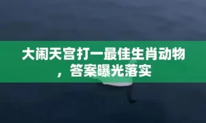 大闹天宫打一最佳生肖动物，答案曝光落实