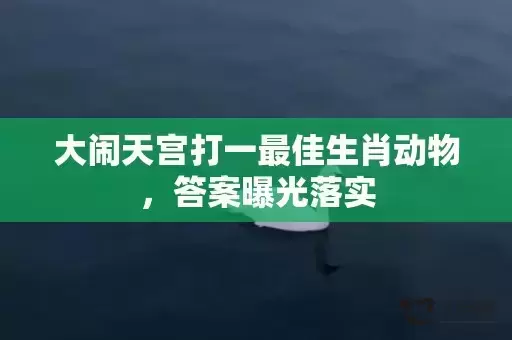 大闹天宫打一最佳生肖动物,答案曝光落实 大闹天宫打一最佳生肖动物,答案曝光落实