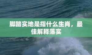 脚踏实地是指什么生肖,最佳解释落实缩略图 脚踏实地是指什么生肖,最佳解释落实