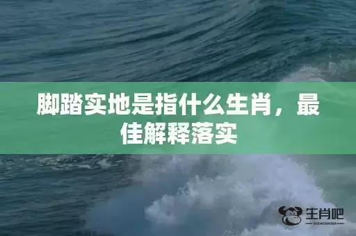 脚踏实地是指什么生肖，最佳解释落实