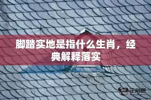 脚踏实地是指什么生肖，经典解释落实