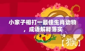 小家子相打一最佳生肖动物，成语解释落实