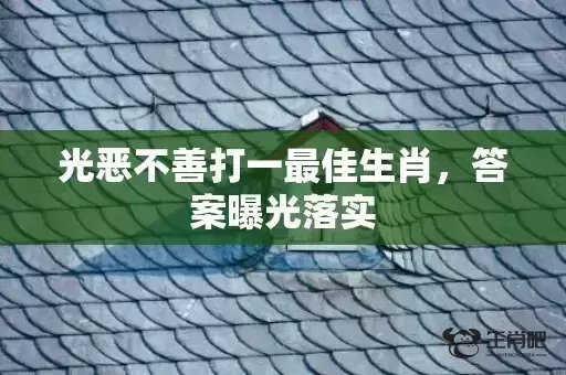 光恶不善打一最佳生肖，答案曝光落实