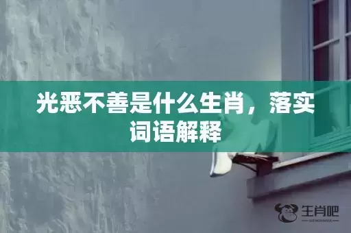 光恶不善是什么生肖，落实词语解释
