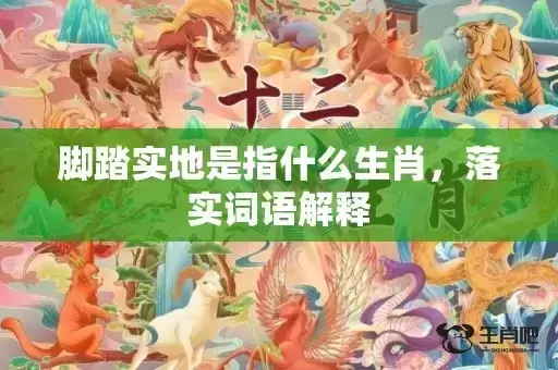 脚踏实地是指什么生肖，落实词语解释