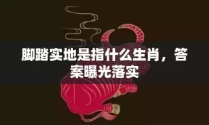 脚踏实地是指什么生肖，答案曝光落实