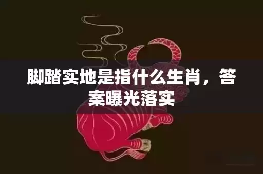脚踏实地是指什么生肖，答案曝光落实