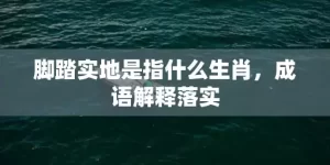 脚踏实地是指什么生肖，成语解释落实