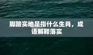 脚踏实地是指什么生肖，成语解释落实