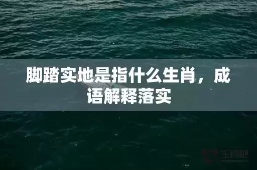 脚踏实地是指什么生肖，成语解释落实