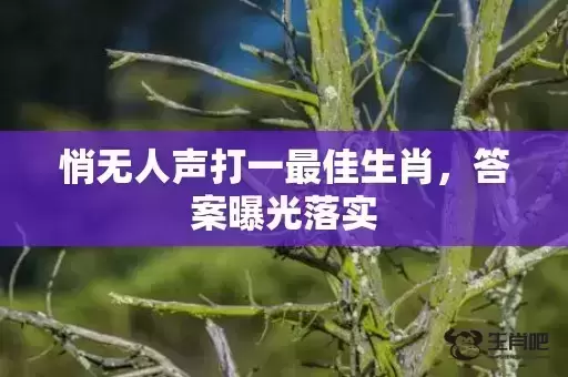 悄无人声打一最佳生肖,答案曝光落实 悄无人声打一最佳生肖,答案曝光落实