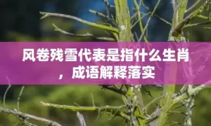 风卷残雪代表是指什么生肖，成语解释落实