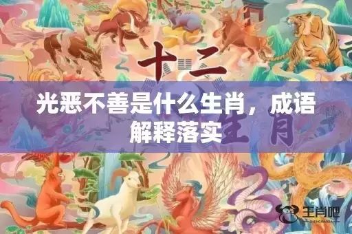 光恶不善是什么生肖,成语解释落实 光恶不善是什么生肖,成语解释落实