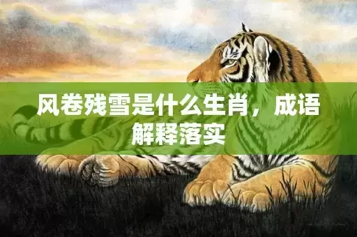 风卷残雪是什么生肖，成语解释落实