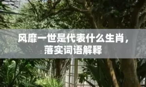 风靡一世是代表什么生肖，落实词语解释