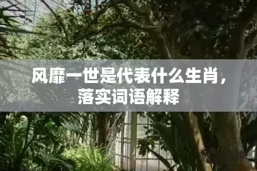 风靡一世是代表什么生肖，落实词语解释