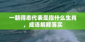 一朝得志代表是指什么生肖，成语解释落实