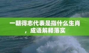 一朝得志代表是指什么生肖，成语解释落实