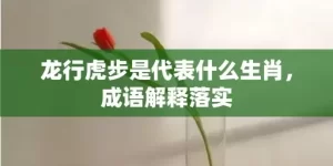 龙行虎步是代表什么生肖，成语解释落实