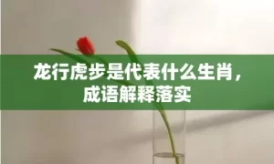 龙行虎步是代表什么生肖，成语解释落实