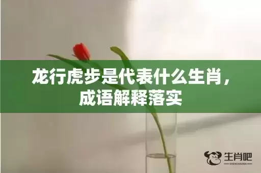 龙行虎步是代表什么生肖，成语解释落实