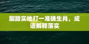 脚踏实地打一准确生肖，成语解释落实