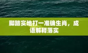 脚踏实地打一准确生肖，成语解释落实