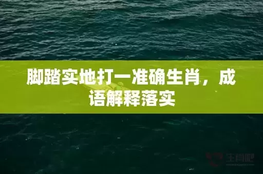 脚踏实地打一准确生肖，成语解释落实