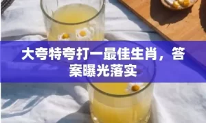 大夸特夸打一最佳生肖，答案曝光落实