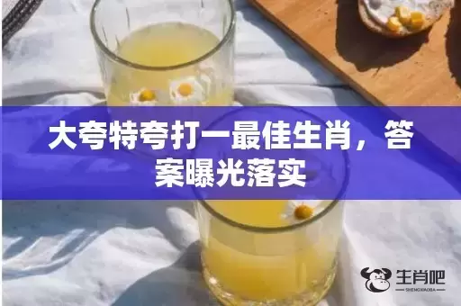 大夸特夸打一最佳生肖，答案曝光落实