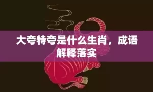 大夸特夸是什么生肖，成语解释落实