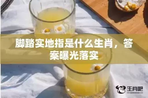 脚踏实地指是什么生肖，答案曝光落实
