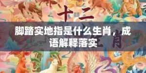 脚踏实地指是什么生肖，成语解释落实