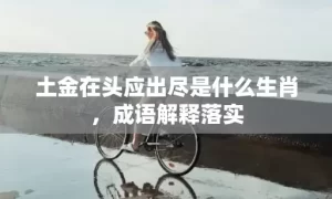 土金在头应出尽是什么生肖，成语解释落实