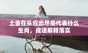 土金在头应出尽是代表什么生肖，成语解释落实