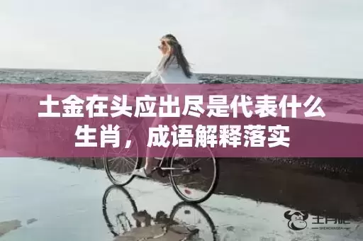 土金在头应出尽是代表什么生肖，成语解释落实