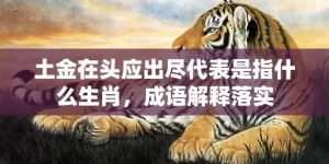 土金在头应出尽代表是指什么生肖，成语解释落实