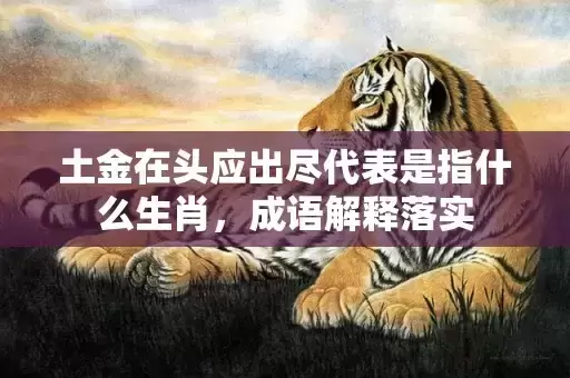 土金在头应出尽代表是指什么生肖，成语解释落实