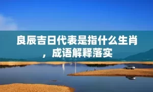 良辰吉日代表是指什么生肖，成语解释落实